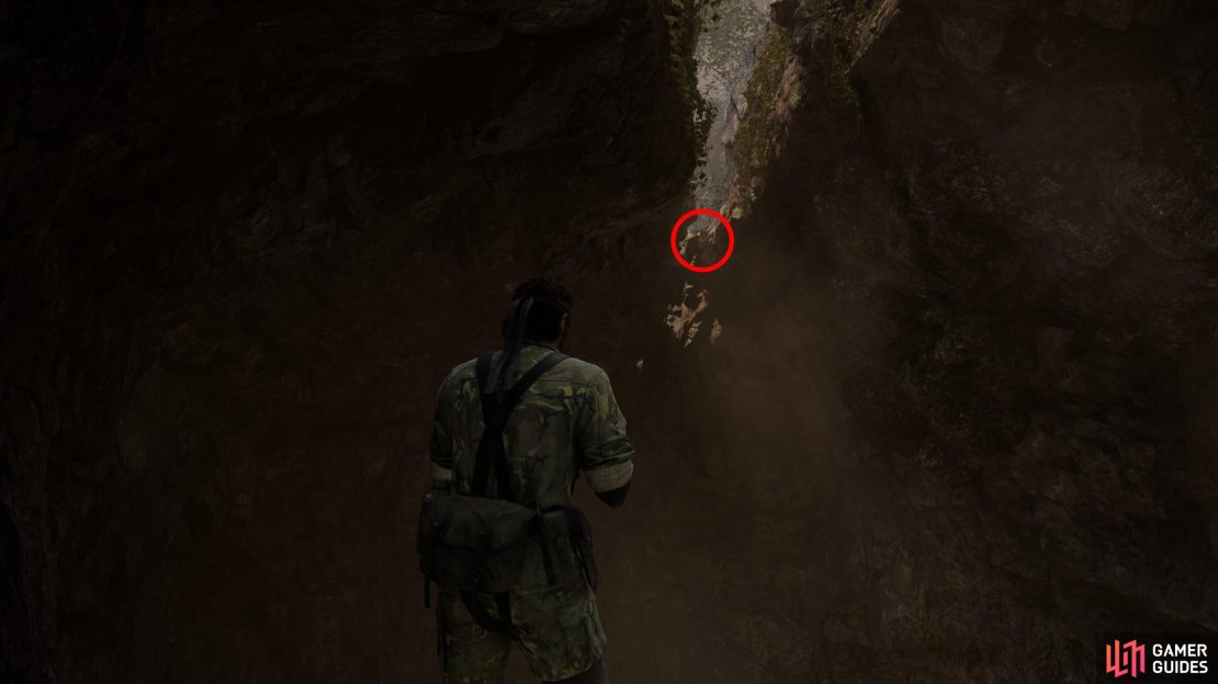 In the northernmost chamber of the Chyornaya Peschera Cave Entrance area, look up to find a rift in the ceiling, where this GA-KO hides.
