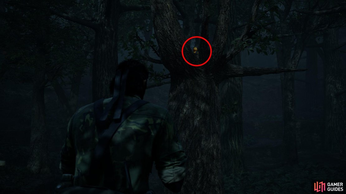 Search the center of the area to find a relatively short tree with gnarled branches rising up like a grasping hand. This GA-KO is atop the trunk of this tree, and can be spotted from the high ground to the northeast, or if you climb a nearby tree.