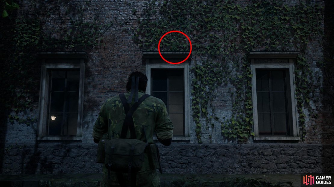 In the center of the Graniny Gorki Lab 1F area you&rsquo;ll find an outdoor courtyard. Search the windows on the northern wall - this GA-KO is atop the middle one.