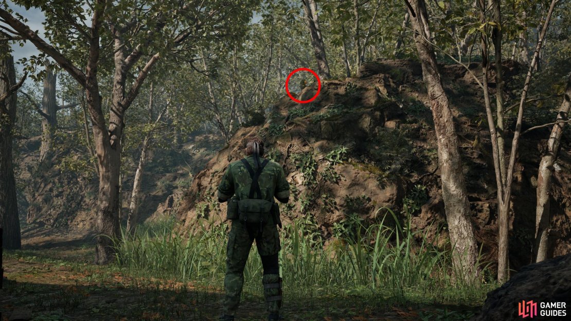 Along the northeastern corner of the map is a building. This GA-KO is west of this building, on an impassable hill. It&rsquo;s easier to spot from the north.