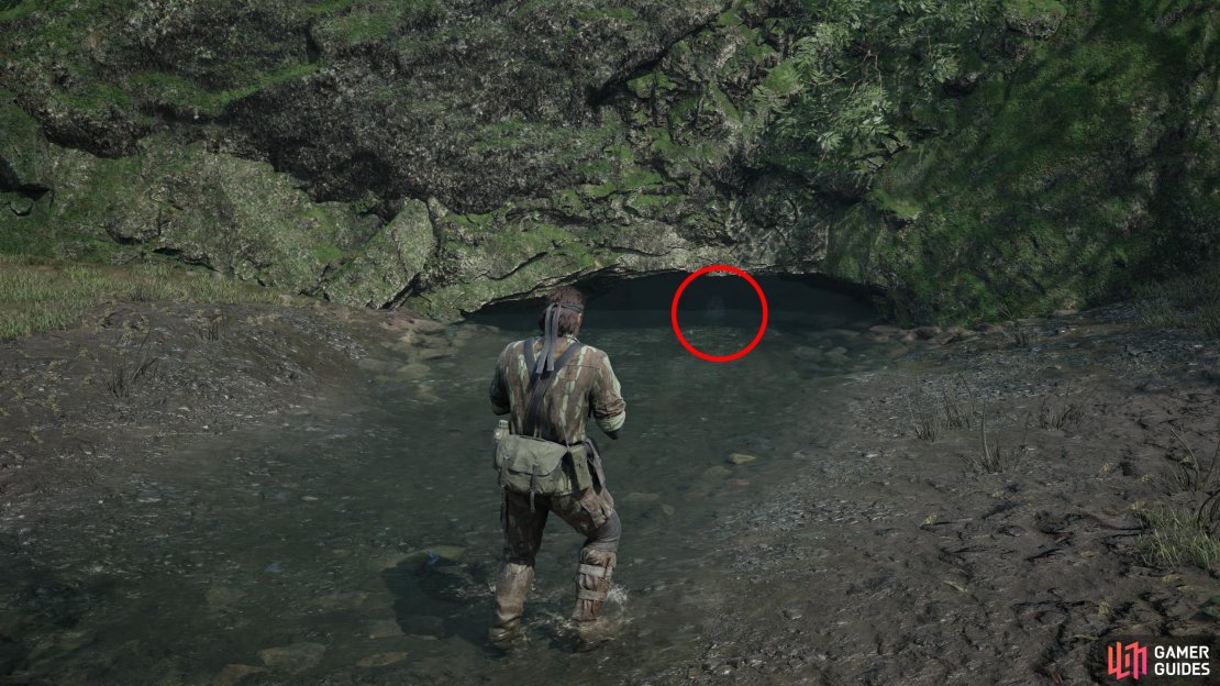 Along the northwestern corner of the Sokrovenno West map you&rsquo;ll find a stream. Stand in the stream and look north to find a cave, inside of which is this GA-KO.