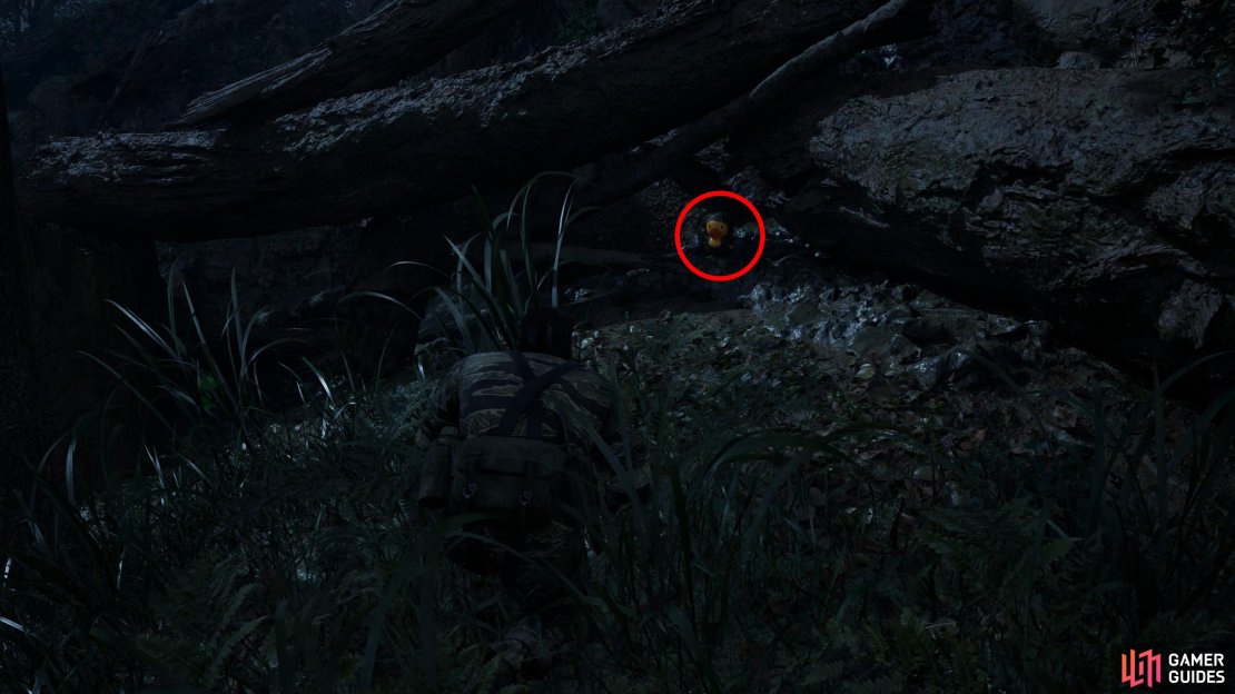 During Operation Snake Eater you&rsquo;ll start out in Dremuchij East. Find this GA-KO under a fallen tree