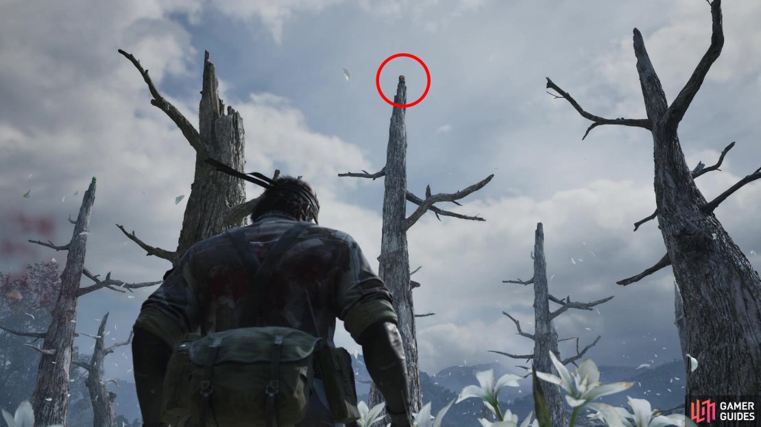 During the fight with The Boss, look up at the tops of the trees in the area to find this GA-KO - it&rsquo;ll be northeast of the center of the map.