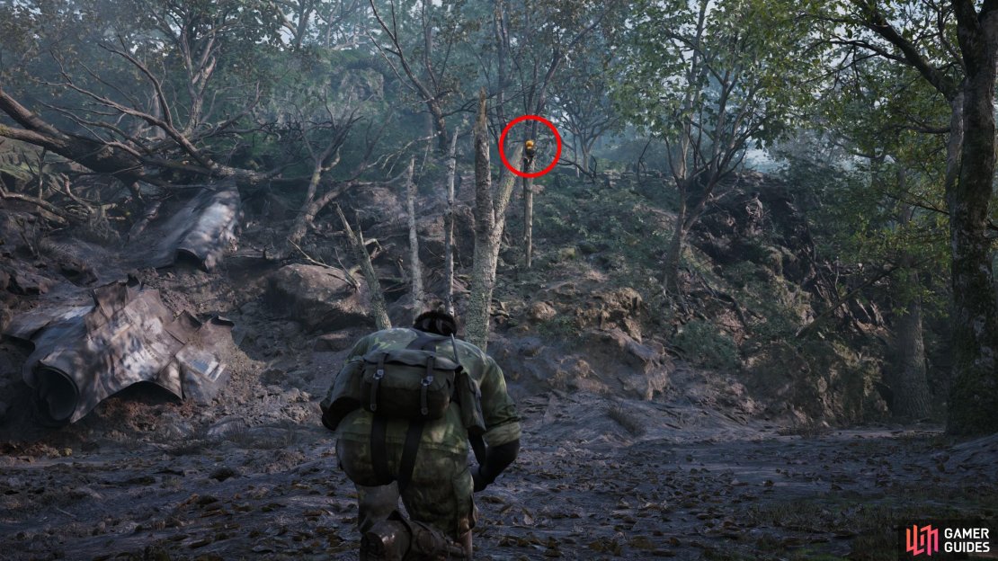 During Operation Snake Eater, in the southernmost open area. Look northwest to find a broken tree near the crashed shuttle. This GA-KO is on top of the broken tree.