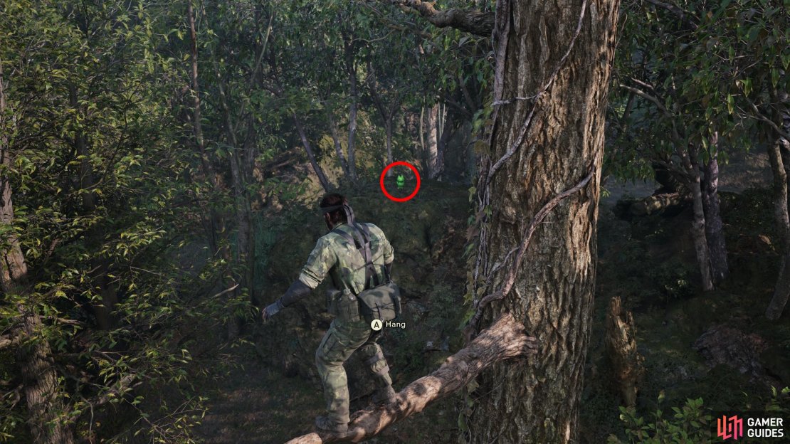 Climb a tree in Dremuchij North during Operation Snake Eater and look northwest to find this Kerotan.