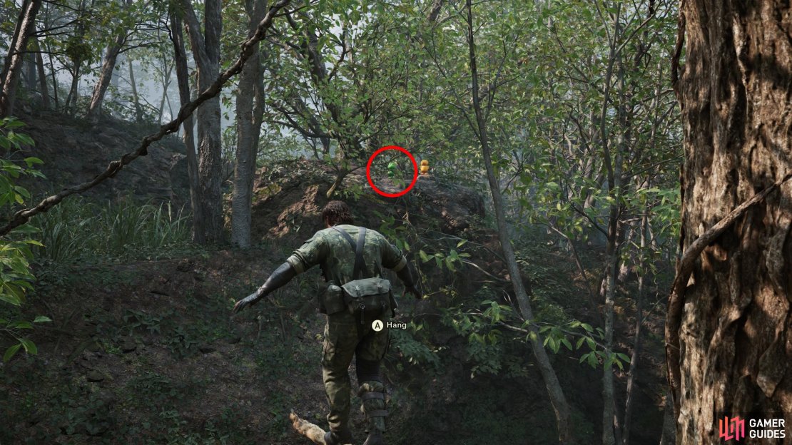 During Operation Virtuous, climb a tree to get your backpack, then climb the same tree again and look east to spot this Kerotan on a ledge.
