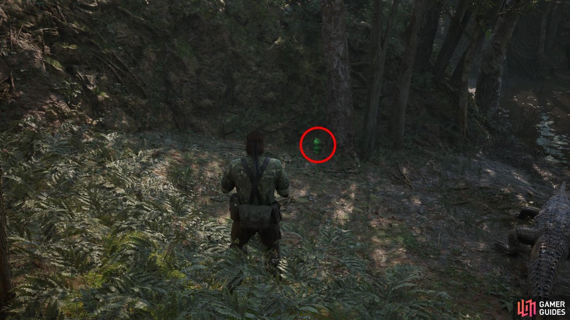 During Operation Snake Eater, search near some trees along the shore west of the swamp.
