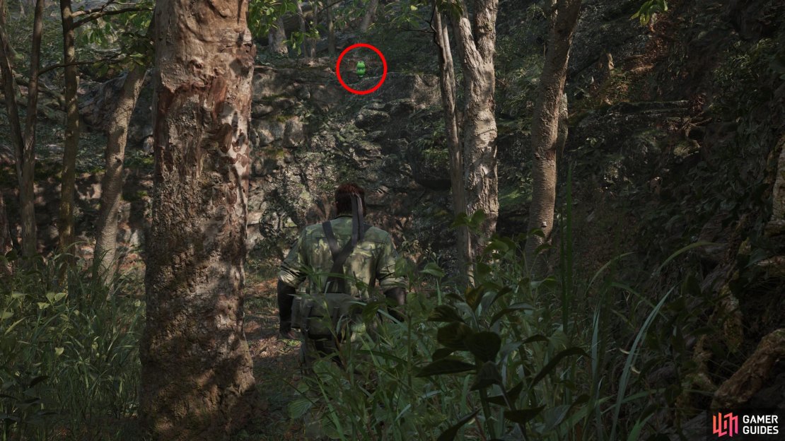 During Operation Snake Eater, backtrak to Dremuchij South and climb over to the westernmost area, where two snakes are enclosed. Look up at the northwesternmost cliffs here to find this Kerotan.