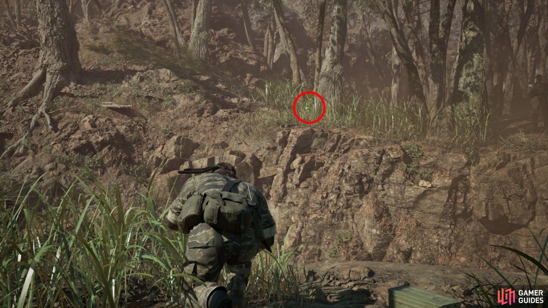 During the fight with Ocelot in Bolshaya Past Crevice, head to the southeastern edge of the area you have access to and scan the tall grass on the other end of a crevice to spot this well-hidden Kerotan.