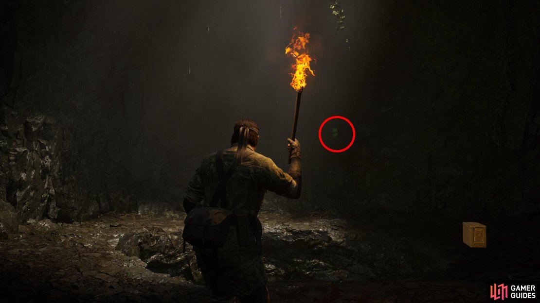 After getting the torch (and GA-KO 15) head down a passage to the northwest, then north, crawl through two low passages to reach a chamber with a pit. This Kerotan is beyond (south of) the pit.