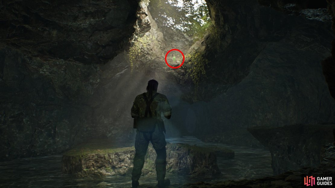 Defeat The Pain, then head south along a ledge wrapping around the eastern edge of the chamber. Along the southeastern corner of the room look up at a hole in the ceiling above where The Pain fought to find this Kerotan.