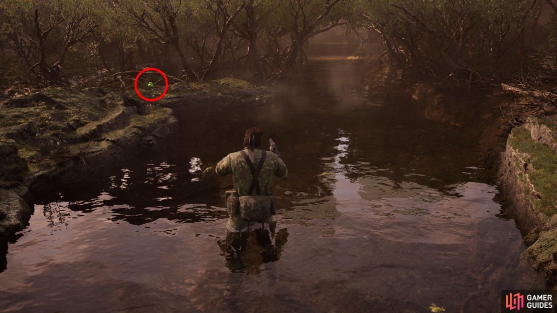 As soon as you enter the Ponizovje South map, look ahead and just a bit to the left (west) to find this Kerotan on the shore.