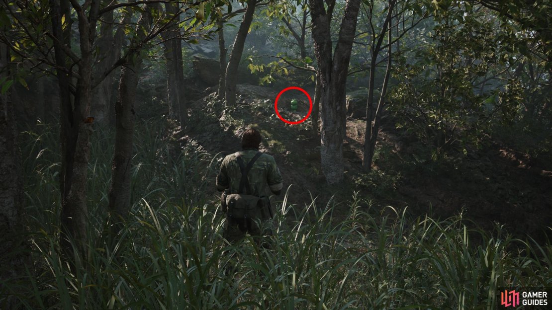 During Operation Virtuous, in the Dremuchij Swamplands. Cross the swamp and keep your eyes to the right (east) as you head north towards Dremuchij North. You should spot this Kerotan on a ledge as you go.