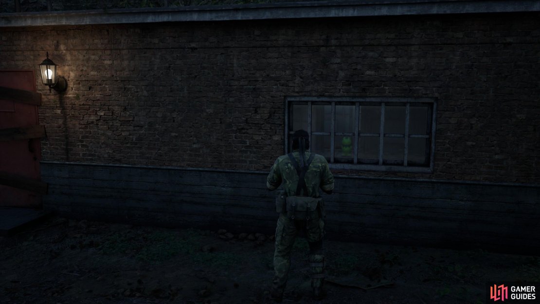 In the second part of the Graniny Gorki Lab Exterior 1F map, find a building on the eastern edge of the area. This Kerotan is through the window.