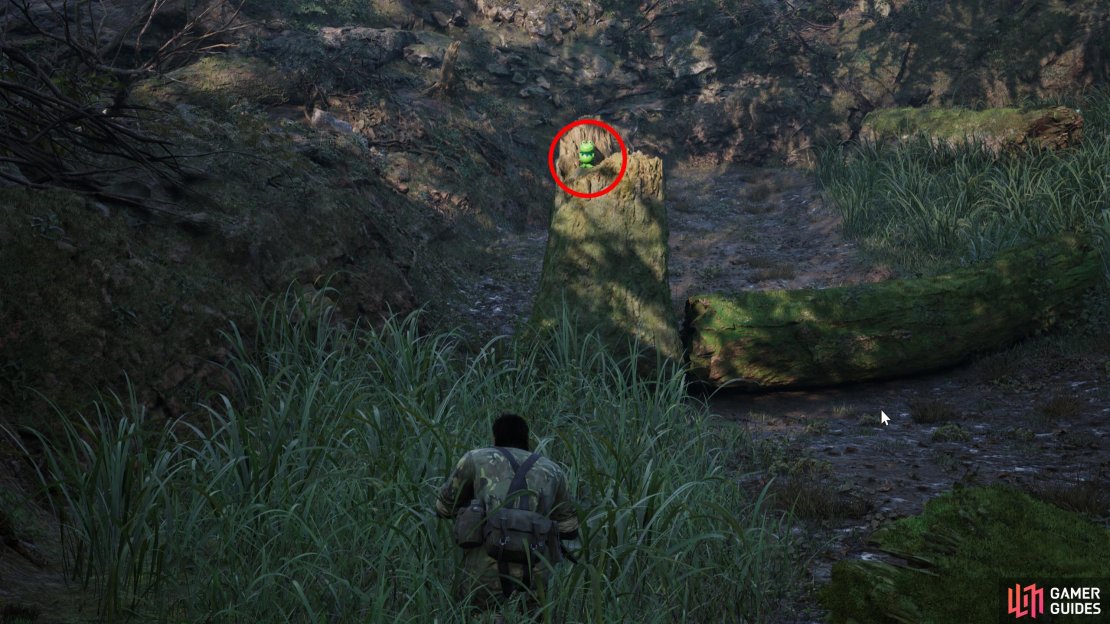 Look for a tree stump along the northeastern end of Dremuchij North to find this Kerotan.