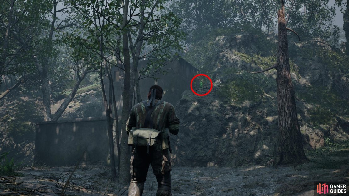 In the Sokrovenno South area, search behind (north of) a small building to find this Kerotan.