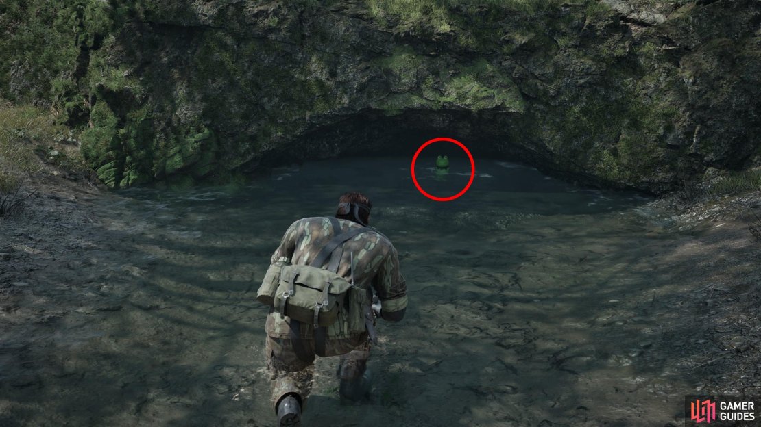Stand in a stream along the southern edge of the Sokrovenno West map and look south into a small cave to find this Kerotan.