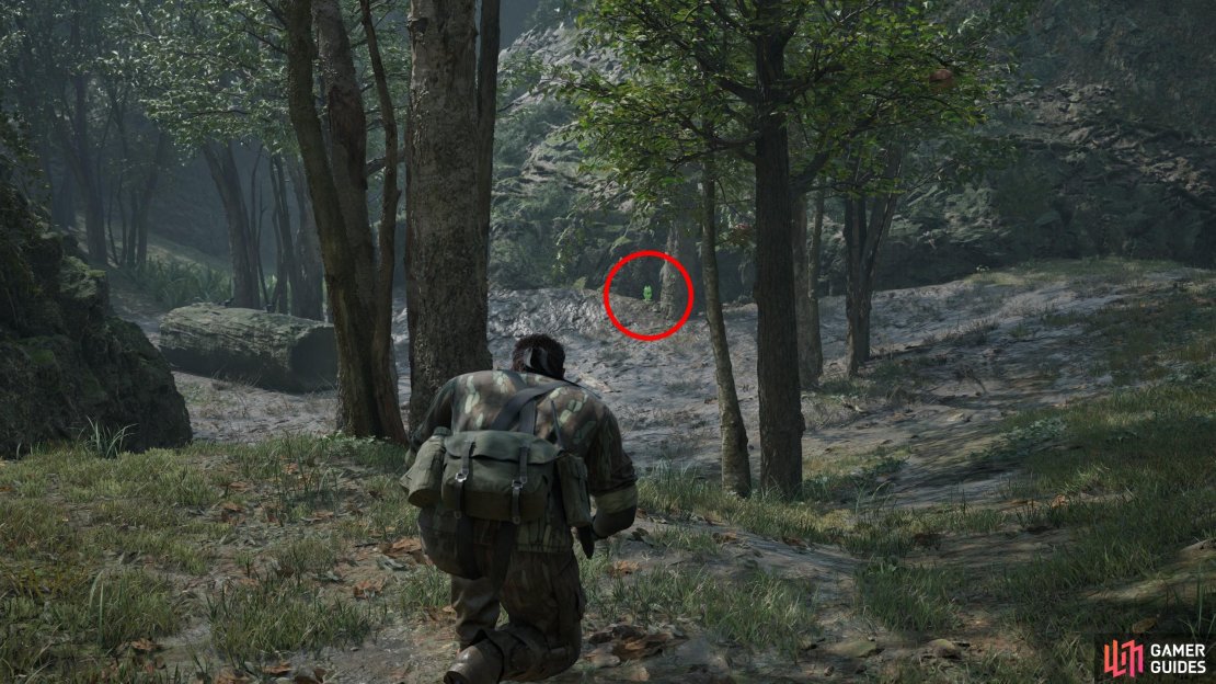 From the easternmost of three exits along the southwestern edge of the Sokrovenno North area, follow the wall to the right north and you’ll find this Kerotan near a tree.