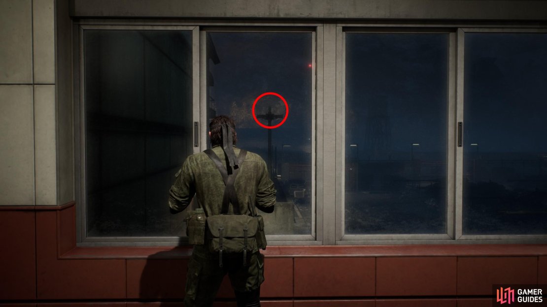 Reach the Groznyj Grad Weapons Lab: West Wing area, incapacitate the guards, then near the exit look left through a window to spot the silhouette of this Kerotan on a light post outside. You can shoot it through the window.