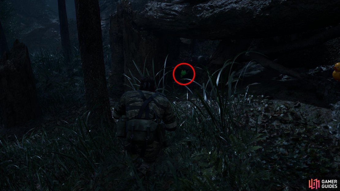 During Operation Snake Eater you’ll start out in Dremuchij East. Find this Kerotan near the stump of a fallen tree.