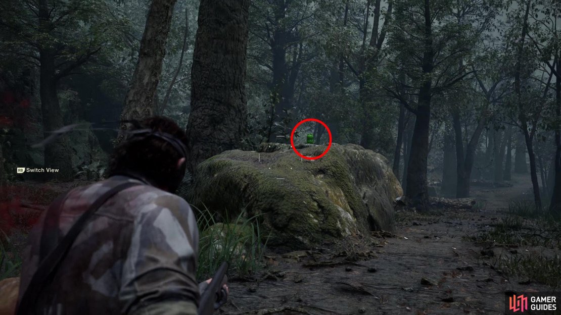 Aim forward and to the left at the start of this map and you’ll spot this Kerotan on a rock. We used the shotgun to pick it off as we drove up to it.