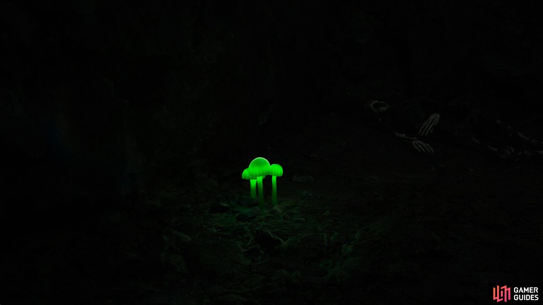 You can find a Russian Glowcap next to the Torch in Chyornaya Peschera Cave.