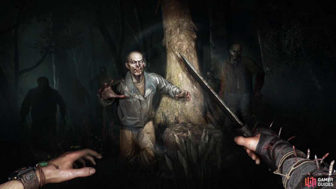 Here’s everything you need to know to survive the nighttime in Dying Light: The Beast. Image via Techland.