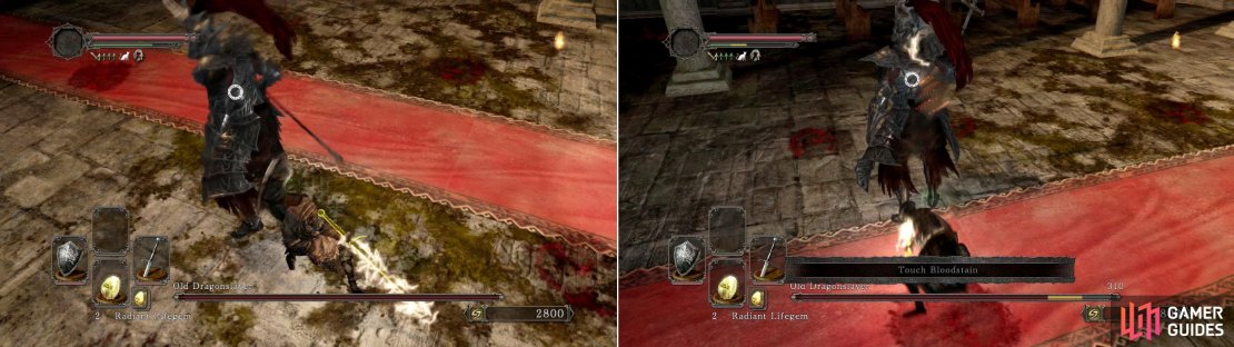 If you&rsquo;ve still got your Gold Pine Resin from earlier then it&rsquo;ll come in really handy for this fight. Apply it to your weapon for extra - and ironic - bonus damage.