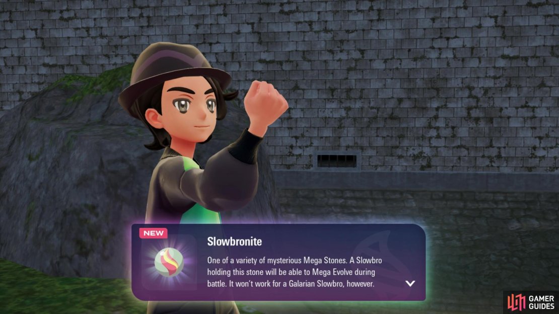 Make sure to grab and give this stone you get to it to mega evolve it. Image via Gamer Guides / Nintendo.