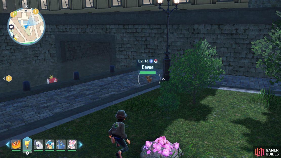 Eevee at Vert Sector 9