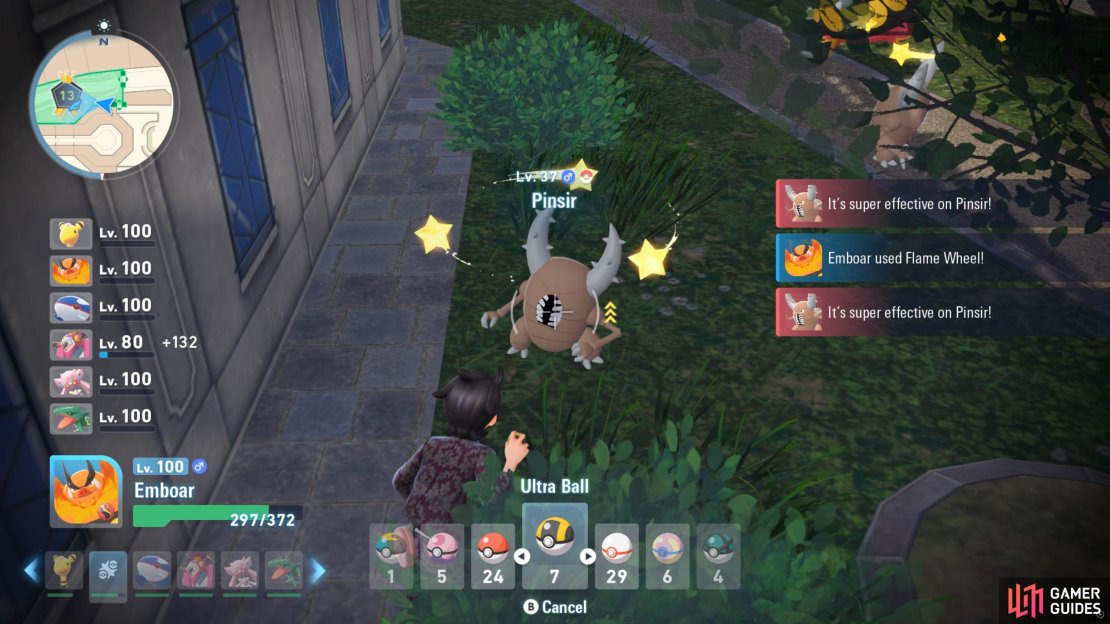 Pinsir