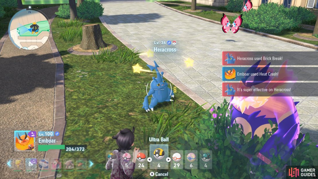 Heracross