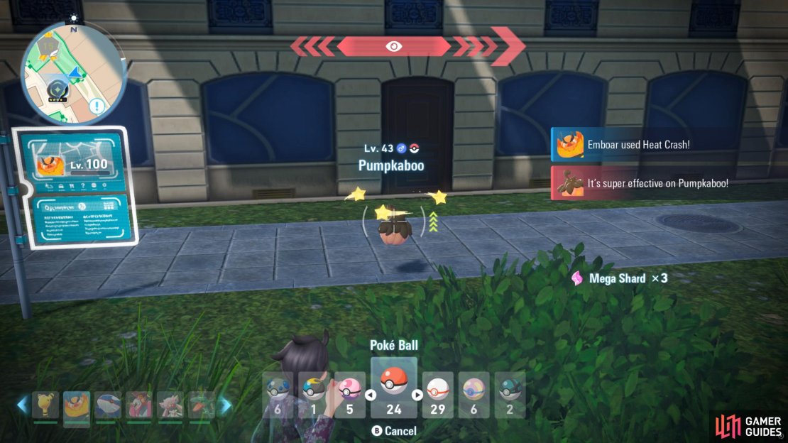 Pumpkaboo