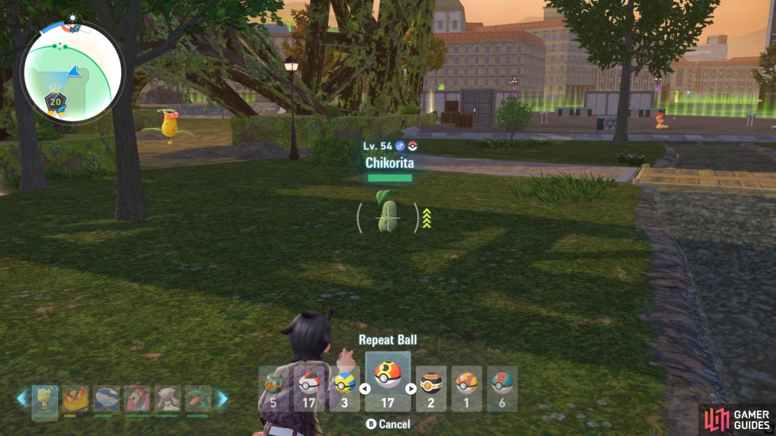 Chikorita