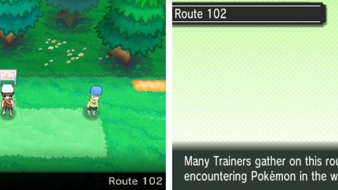 A grassy route that features your first taste of regular Pokemon battles.