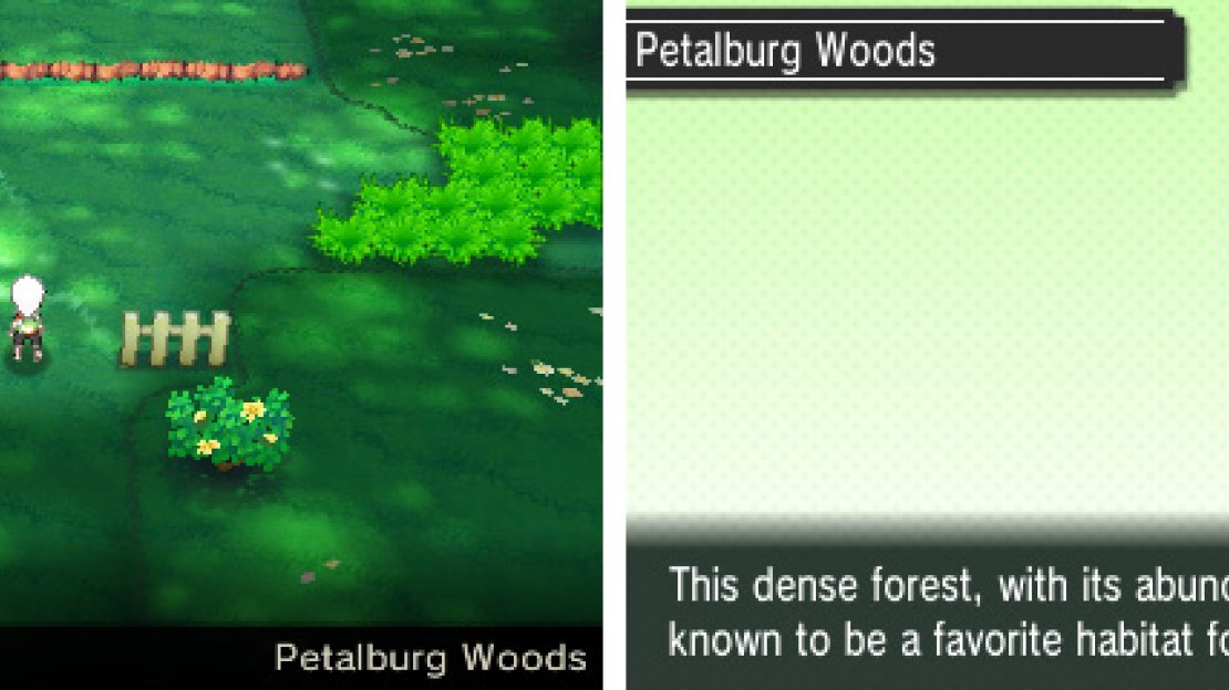 The obligatory earlygame forest, inhabited by Pokémon and trainers alike.