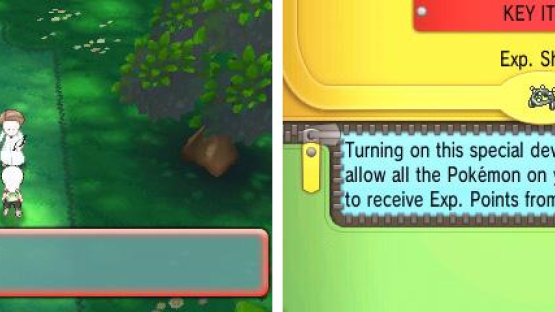 Exp. Share removes most of the difficulty from battles, which can be good or bad.