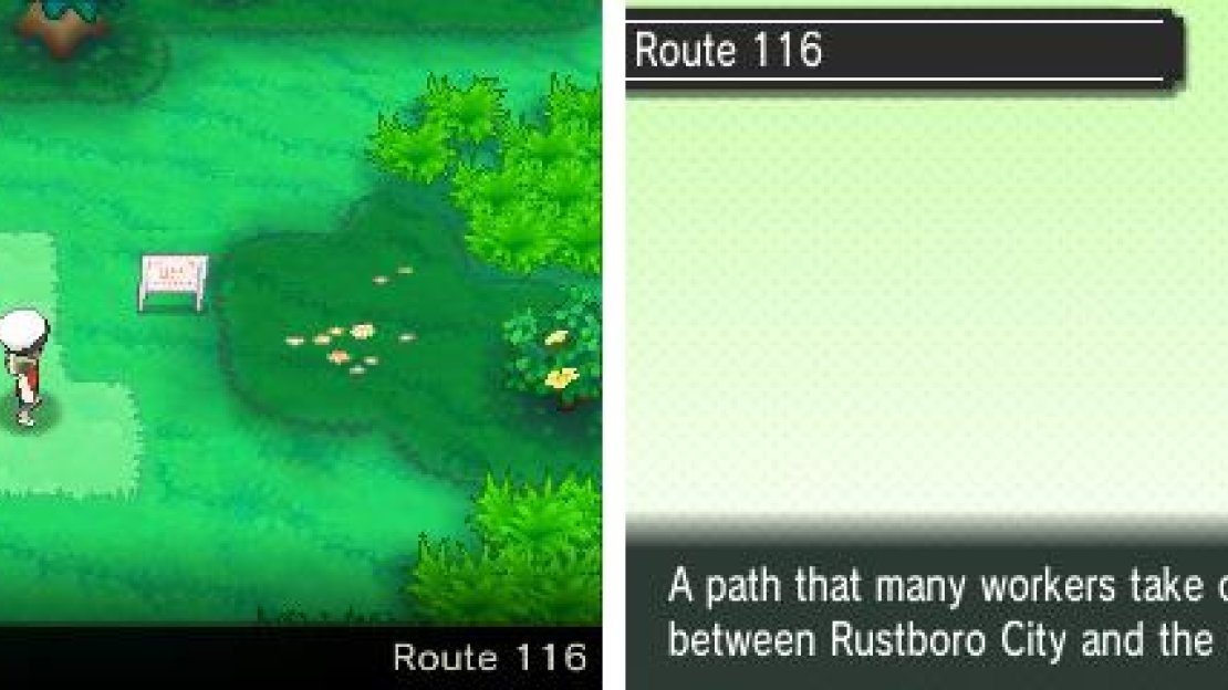 A route with actual Pokémon and trainers!