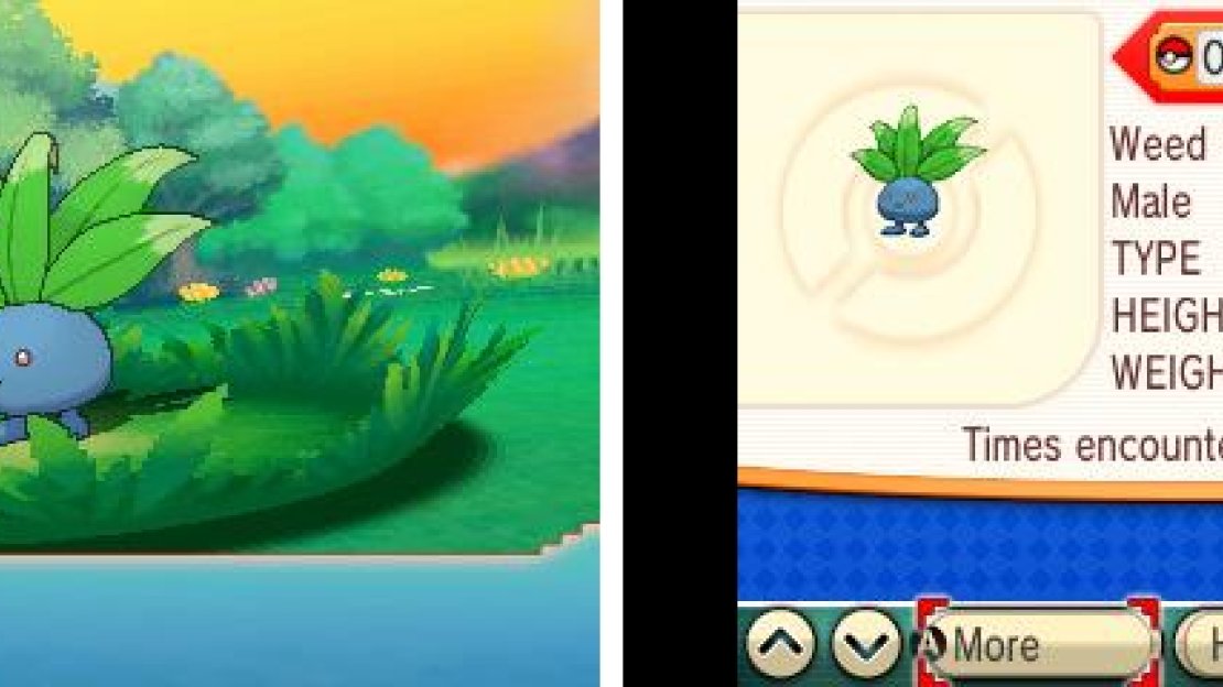 Funnily, you’re better off with an Oddish with its normal ability (Chlorophyll).