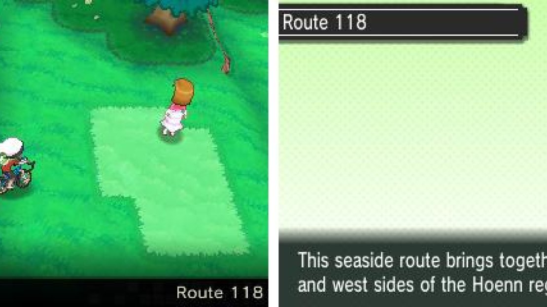 Another route divided into two by a body of water. (This game sure is a tease…)