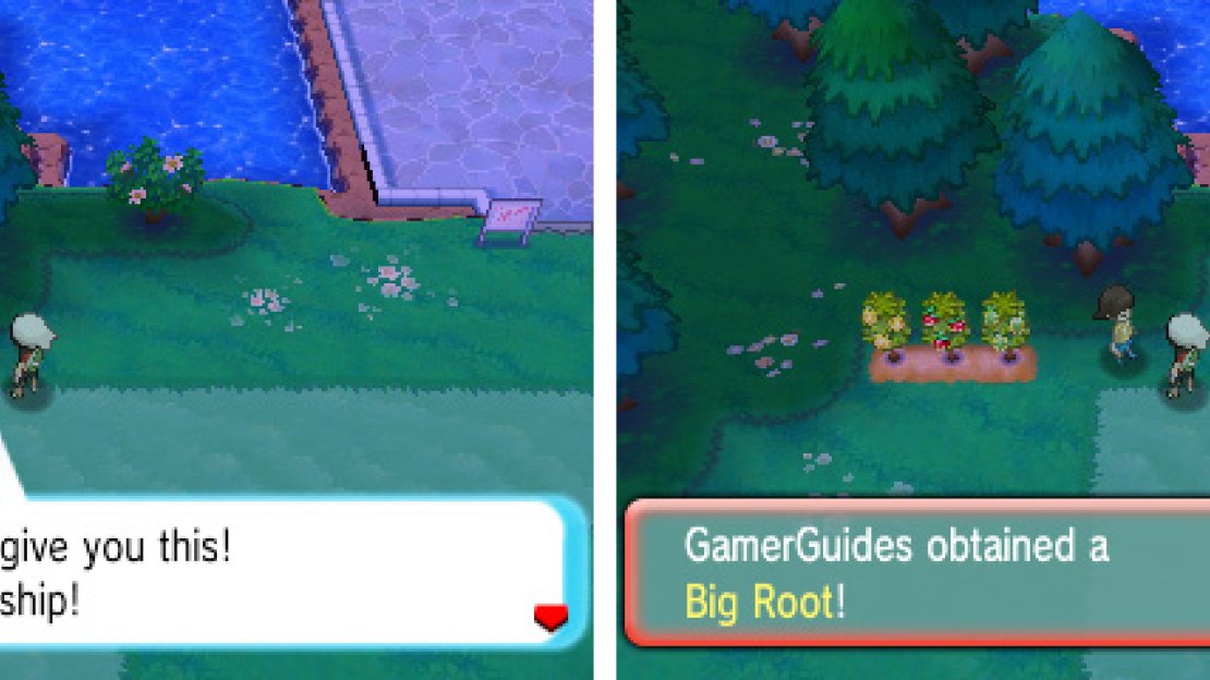 Have vampirish tendancies? Then the Big Root is for you.