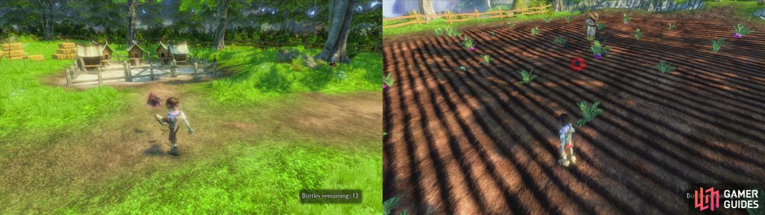 Don&rsquo;t forget to kick the chickens into the pen (left) and kill the beetles in the field (right).