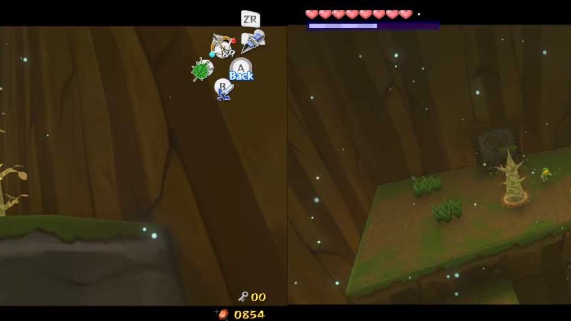 Make Link Hookshot up to that tree, and defeat any Blue Bubbles you can. Then fly Makar to the next ledge and repeat this until you get to the highest ledge. There, pick Makar up and go through the door.