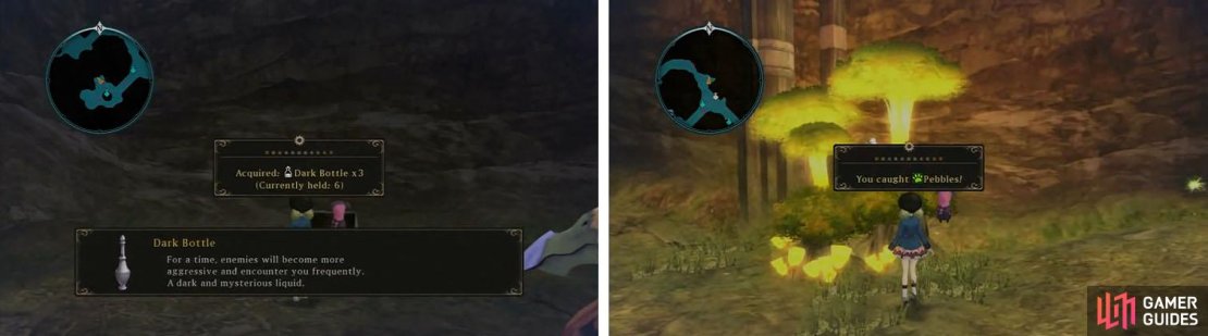 Grab the Dark Bottles in the dead end and then continue to find Pebbles in the glowing tree.