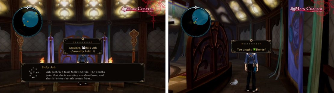 There are only two things at the Shrine; the quest item Holy Ash and the cat Shorty from behind the altar.
