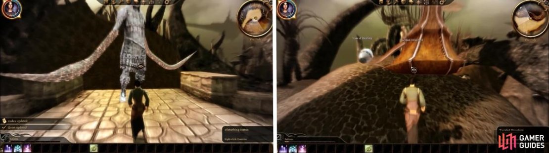Examine the many things in Ferelden for Codex information about the world as a whole. You can also find good items hidden in a variety of places so search it all.