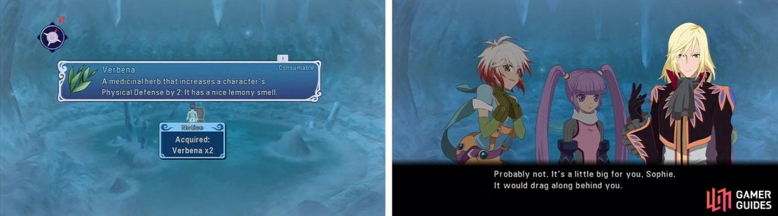 On the way to Lorelia&rsquo;s grave grab the treasure and equip the Efreet Cloak for a sit.