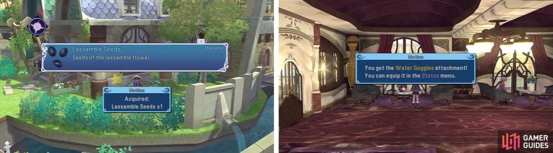 The Oswell&rsquo;s Manor has some Seeds outside and Water Googles inside.