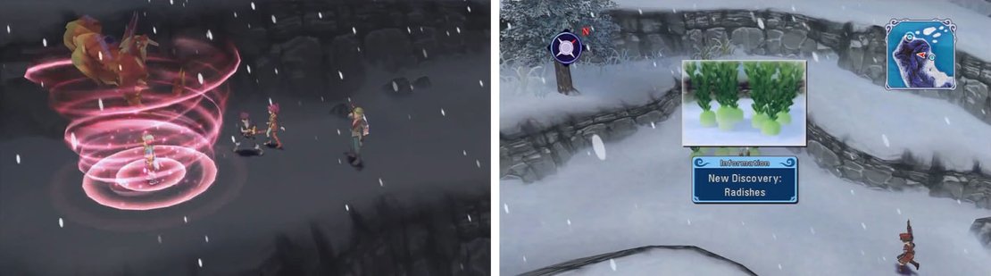 After getting Pascal&rsquo;s Fire Summoner title, take the nearby branch for some Radishes.