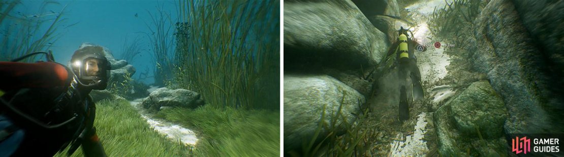 Swim through the area to find a log suspended above two rocks for a treasure.